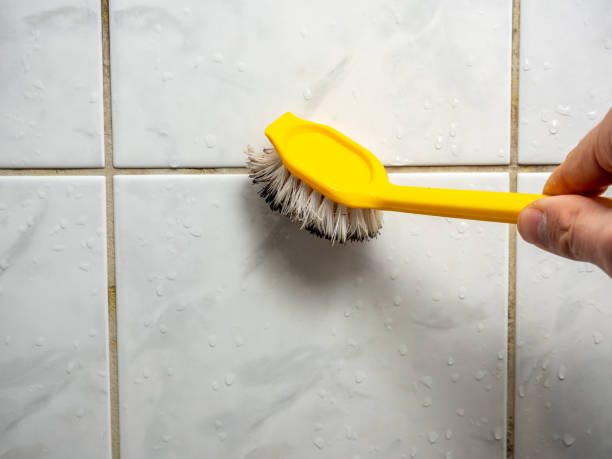 Best Best Mold Removal Companies  in Barrington, IL