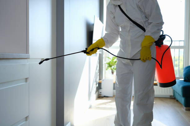 Best Fast Mold Removal  in Barrington, IL