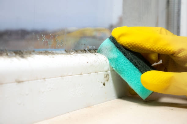 Best Mold Remediation  in Barrington, IL